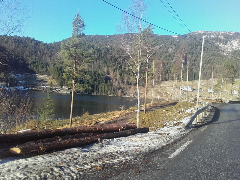 Masfjorden kommune - Masfjorden fram att i lyset